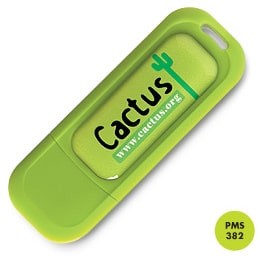Pen Drive versa