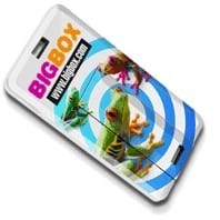Pen Drive Credit Card